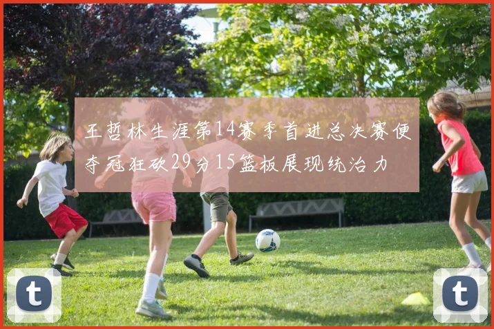 王哲林生涯第14赛季首进总决赛便夺冠狂砍29分15篮板展现统治力
